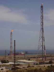 ARZEW 2008 8